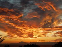 20241024 (26).JPG