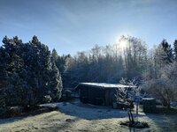 IMG_20241226_105534.jpg