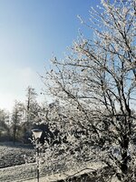 IMG_20241227_093006.jpg