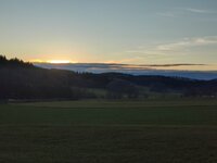 IMG_20241221_154957.jpg