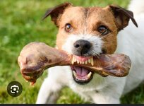 Screenshot_2025-01-06-12-18-11-043-edit_com.android.chrome.jpg Screenshot_2025-01-06-12-18-11-043-edit_com.android.chrome.jpg