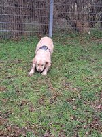 20250106_152057.jpg 20250106_152057.jpg