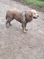 20250106_160615.jpg 20250106_160615.jpg