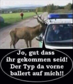 Screenshot 2025-01-07 131612.png