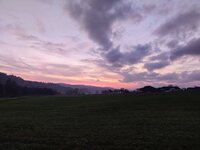 IMG_20241031_170439.jpg