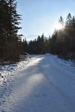 DSC_0159.JPG