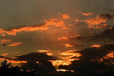DSC_5320.jpg