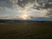IMG_20250111_152733.jpg