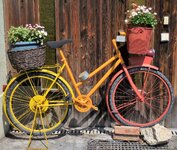 DSCN4060 (2).JPG DSCN4060 (2).JPG