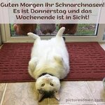 IMG_2975.jpeg