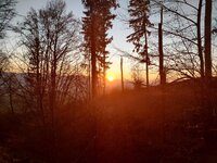 IMG_20241231_160446.jpg