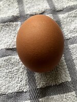 IMG_6130.jpeg