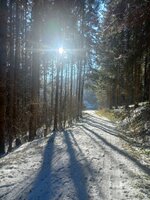 20250119_134308.jpg