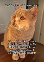 Picsart_25-01-20_22-49-16-000.jpg