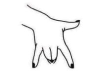 GAG sign main-qimg-ff1357b001e656256ec7247f293ce3d0.jpg