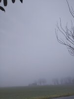 soMG_20250202_102858.jpg