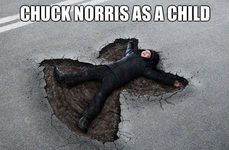 [hum]little chuckie norris.png
