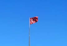 20241014 (259).jpg