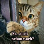 IMG_3028.jpeg