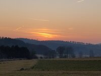 IMG_20250208_165737.jpg