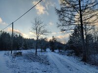 IMG_20250103_152544.jpg