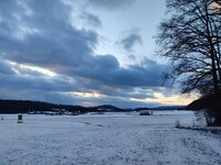 IMG_20250112_160923.jpg