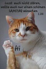 IMG_2970.jpeg