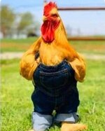 Gut_gemacht.jpg Gut_gemacht.jpg