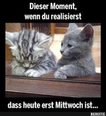 IMG_3043.jpeg