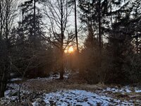 IMG_20250221_170101.jpg