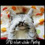 IMG_3057.jpeg