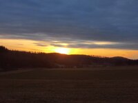 IMG_20250201_164715.jpg