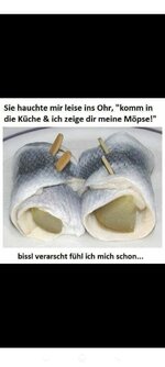 IMG_3435.jpeg