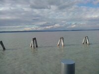 IMG_20250228_143449.jpg IMG_20250228_143449.jpg