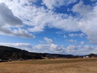 IMG_20250228_110244.jpg