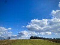 IMG_2361.jpeg