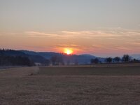 IMG_20250222_172016.jpg