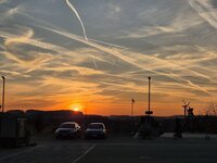 20250304_173548.jpg