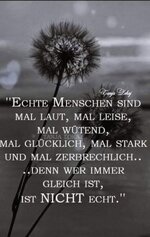 1741166907787.jpeg 1741166907787.jpeg