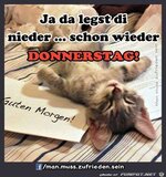 IMG_3079.jpeg