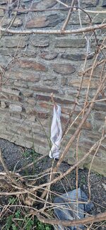 20250306_173133.jpg 20250306_173133.jpg