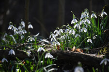 DSC_8090.jpg