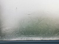 IMG_20250311_070847.jpg