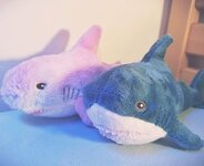IMG_20250312_173810.jpg