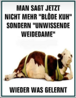 1742043899614.png 1742043899614.png