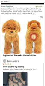 Bildschirmfoto 2025-03-19 um 09.32.51.png