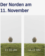 11.11..png