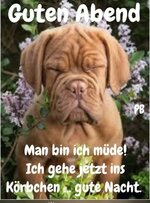 guten abend.jpg