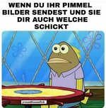 Screenshot_20250321_195453_Samsung Internet.jpg