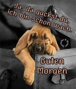 FB_IMG_1742620801942.jpg